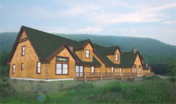 Top Ridge Town Homes in Gore Mountain